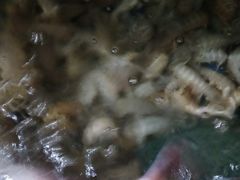 -宾朋海鲜特色美食餐厅·纯手工鲅鱼水饺(兴海路店)