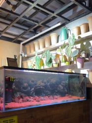 -青木造型HAIR·あおき髪を刈る潮人店