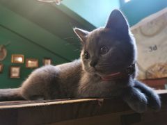 -第三空间·趣味桌游·轰趴.室内CS.剧本杀(大武汉1911店)