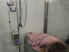 -伟伟宠物医院·CT影像中心·瑞派犬猫综合性门诊(汉口总院)
