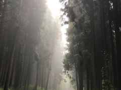 -山王坪喀斯特国家生态公园