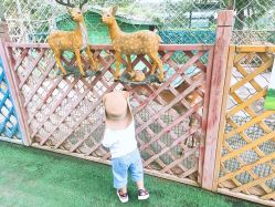 -萌宠亲子动物乐园(槐房万达店)