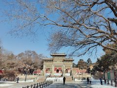 -北陵公园