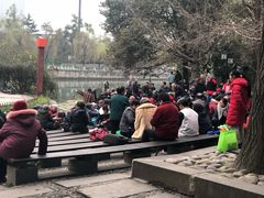 -成都市活水公园
