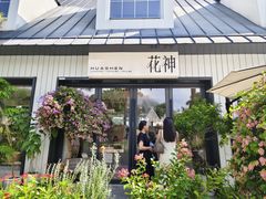 -花神·轻食简餐·咖啡馆·花卉绿植(荷兰花卉小镇店)