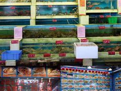 大堂-旺富东海大酒楼(海鲜街店)