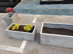 -Tubestation站点比萨(五道营店)