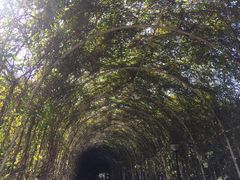 -天河儿童公园