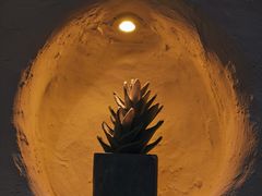 -Sirena海妖日咖夜酒