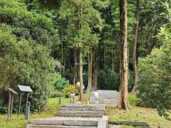 -云溪植物园