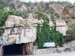 -仙蘑洞