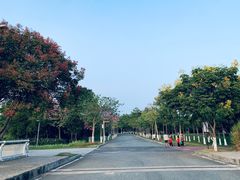 -厦门园林博览苑