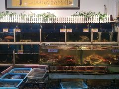 -鑫悦楼煎蟹·16年海鲜大排档