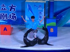 -成都浩海立方海洋公园