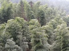 -崀山风景名胜区