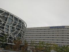 -首都医科大学附属北京天坛医院