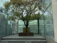 -WeWork中国(三里屯11号社区店)
