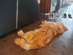 -Libertines barbershop 浪子理发店