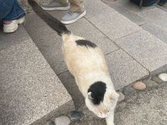-北京凤凰岭