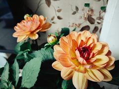 -灶东家民间菜(回兴店)