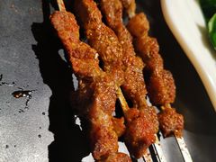 -额尔敦草原涮羊肉·烧烤(冻青树总店)