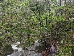 -罗田天堂寨风景区