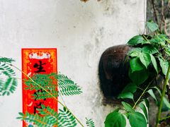 -梧州双钱龟苓膏(老街店)