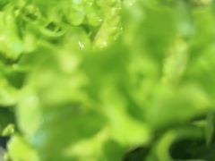 -郭记烤肉创始店(民丰大街店)