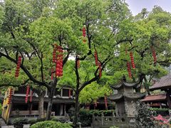 景点-杭州上天竺法喜讲寺