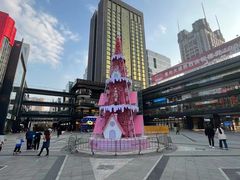 -老头儿油爆虾(星光一期店)
