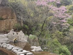 -西安祥峪森林公园
