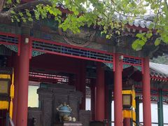 -宫事颐庭·老佛爷贵寿下午茶(颐和园店)