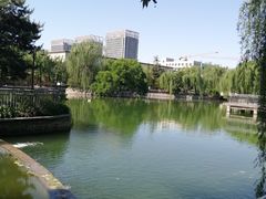 -黄村公园