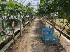 -美家乐农庄·露营·团建(大治路店)