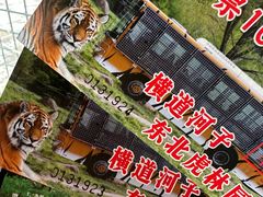 -横道河子东北虎林园