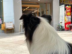 -via coffee(万象城店)