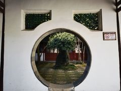 -上海醉白池公园