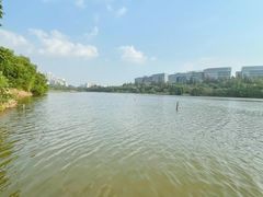 -华侨城湿地公园