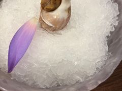 酱烧海螺-万岛日本料理铁板烧(静安店)