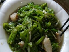 -阿兰白家宴