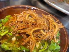 -大龙火锅(老店)