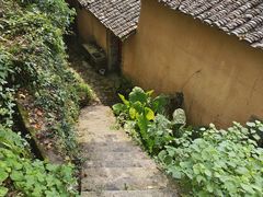 -杨家堂村