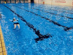 -齐汇维景大酒店游泳馆(山东政协大厦齐汇维景)