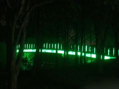 -南翔镇银翔湖公园