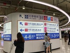 -东方体育中心(地铁站)