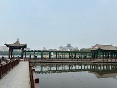-莲花池公园