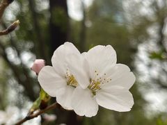 -西北湖绿化广场