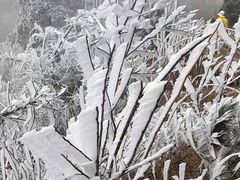 -四明山国家森林公园