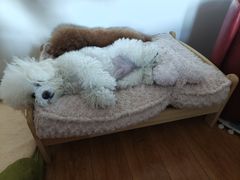 -满城满(大兴龙湖店)