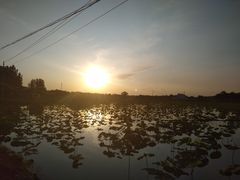 -白洋淀景区